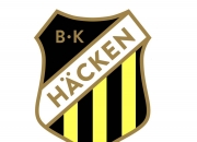 乐鱼体育下载-关于瑞典队大比分胜出，夺取晋级资格的信息