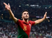 瑞士客场大胜比利时，信心大增晋级在望的简单介绍