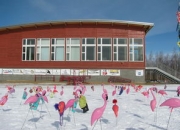 乐鱼体育新闻-西雅图海湾者期待创造历史，迎战世界顶级球队