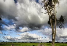 乐鱼体育入口-法国女足队员在友谊赛中展现出色表现！点燃未来的足球激情