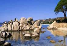 乐鱼体育app-巴西足球国家队全力备战世界杯预选赛：梦想再启航