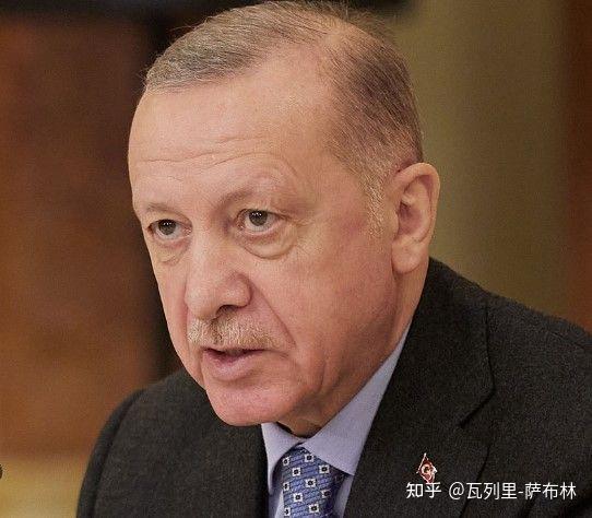 关于土耳其主场惨败瑞典小组出局无缘淘汰赛的信息