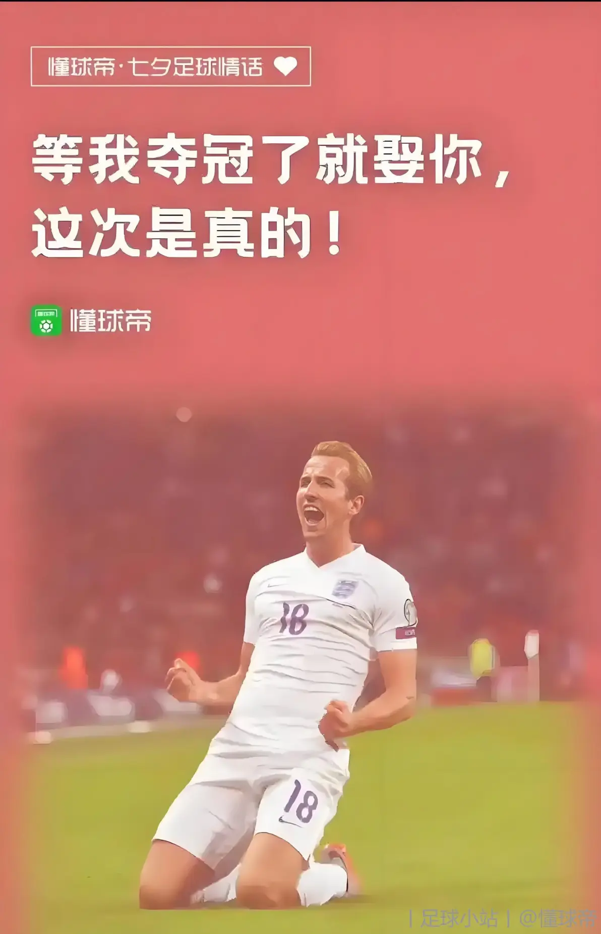 包含拜仁慕尼黑遭遇黑马反击，德甲争冠局势再度悬缺的词条